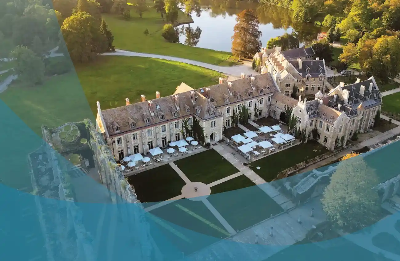 Luksus, pluskwy i dylemat przyznania się do winy